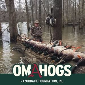 Meet your Posher, Ashton